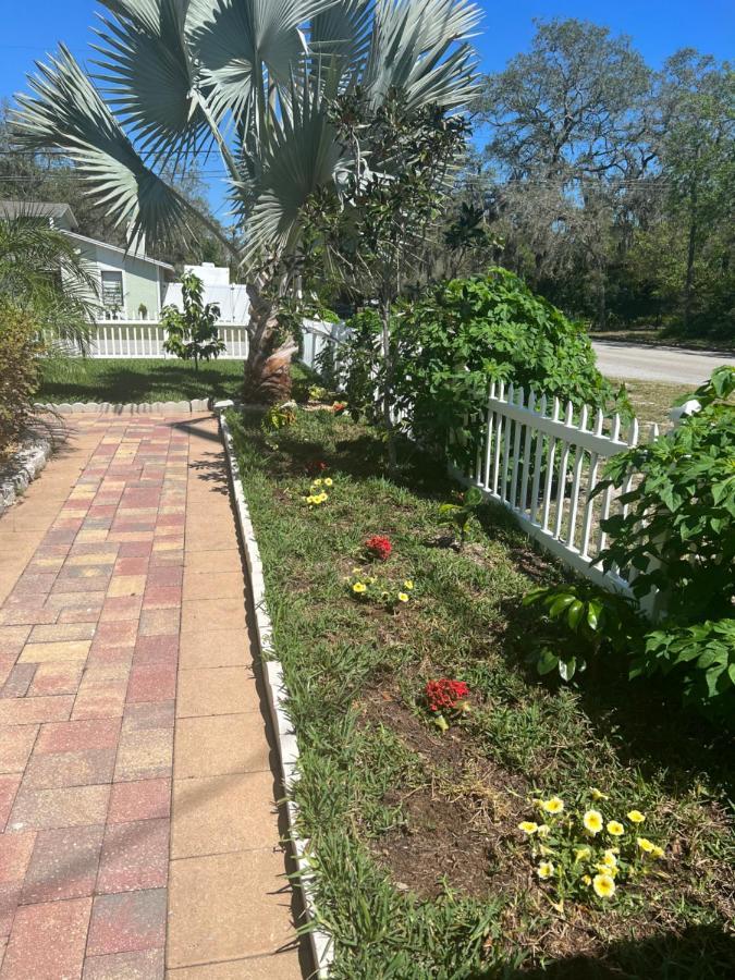 Caribbean Splendor Vacation Rental Near Bush Gardens Tampa Fl Exterior photo