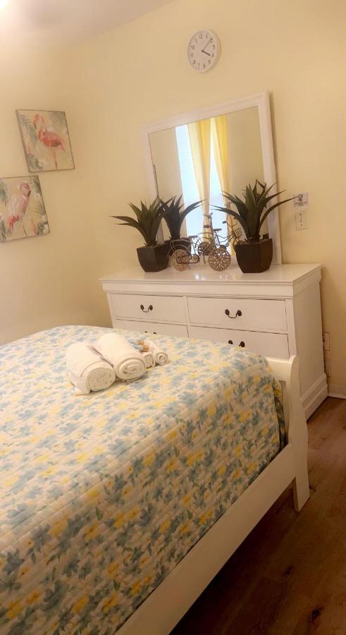 Caribbean Splendor Vacation Rental Near Bush Gardens Tampa Fl Exterior photo